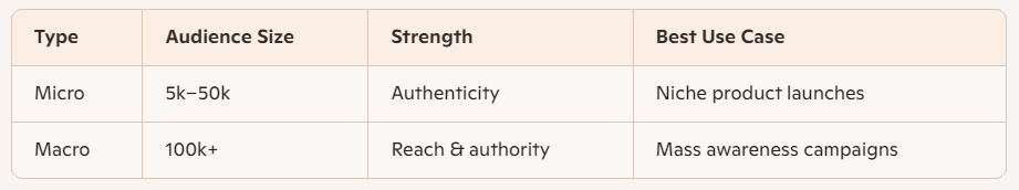 Micro vs Macro Influencer Comparison